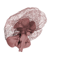 Image showing Creative concept of the human brain