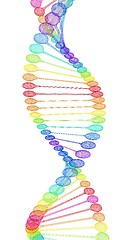 Image showing DNA structure model