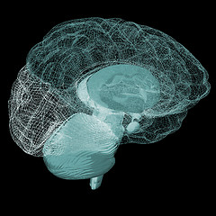 Image showing Creative concept of the human brain