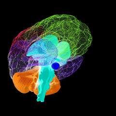 Image showing Creative concept of the human brain