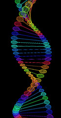 Image showing DNA structure model