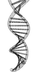 Image showing DNA structure model