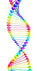 Image showing DNA structure model