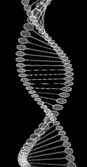 Image showing DNA structure model