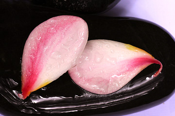 Image showing frangipane petal flower