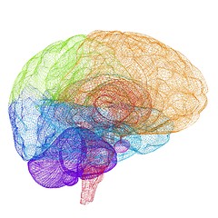 Image showing Creative concept of the human brain