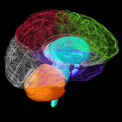 Image showing Creative concept of the human brain