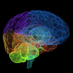 Image showing Creative concept of the human brain