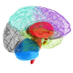 Image showing Creative concept of the human brain