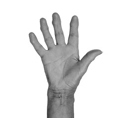 Image showing Hand symbol, saying five, saying hello or saying stop