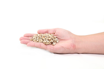 Image showing sunflower seeds on hand