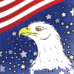 Image showing american eagle