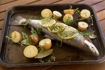 Image showing Raw Vegetables And Trout