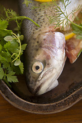 Image showing Raw Rainbow Trout