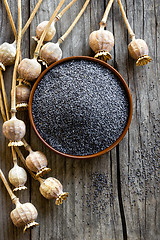 Image showing Poppy seeds