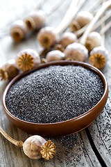 Image showing Poppy seeds