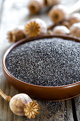 Image showing Poppy seeds