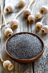 Image showing Poppy seeds