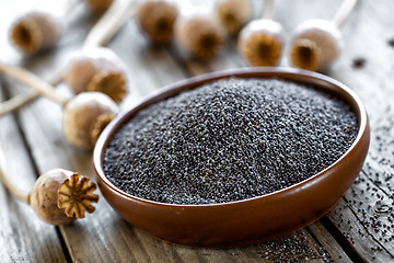 Image showing Poppy seeds