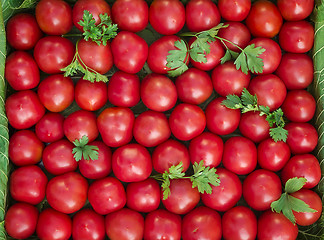 Image showing Ripe tomatoes of bright red color of the small size.
