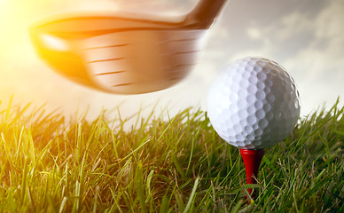 Image showing Golf club and ball in grass