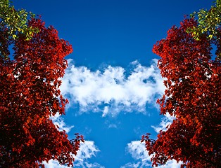 Image showing Nice blue sky with clouds formation and trees