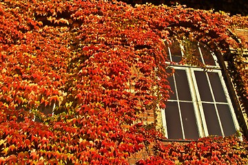 Image showing Detail of a wall of an old brick house