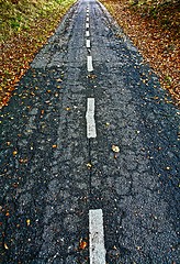 Image showing Road for bikes in a forest