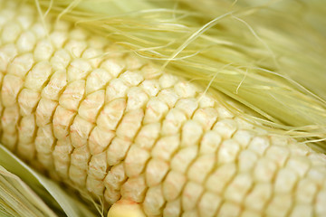 Image showing Macro photo of yellow corn background, healthy and tasty food