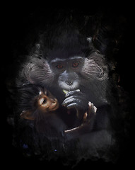 Image showing Watercolor Image Of Mother And Baby Monkey