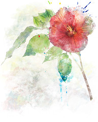 Image showing Watercolor Image Of  Hibiscus Flower