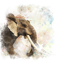 Image showing Watercolor Image Of  Elephant