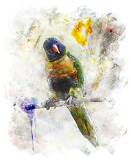 Image showing Watercolor Image Of Parrot (Rainbow Lorikeet)