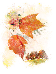 Image showing Watercolor Image Of  Autumn 