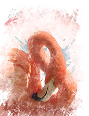 Image showing Watercolor Image Of  Flamingo Bird