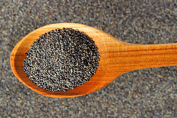 Image showing Poppy seeds