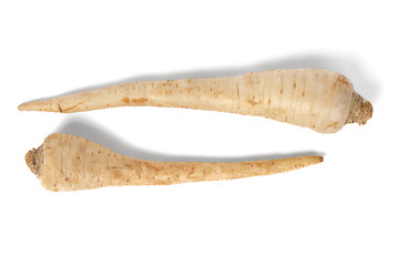 Image showing Parsley root on white