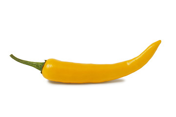 Image showing Yellow hot chili pepper