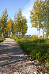 Image showing Dirt road