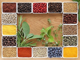 Image showing Spices.