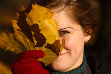 Image showing Fallen leaves