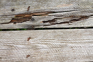 Image showing weathered wood planks detail