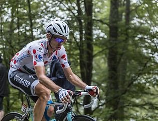 Image showing Polka Dot Jersey - Tony Martin