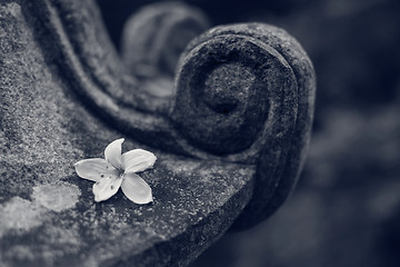 Image showing Traditional asian stone lantern