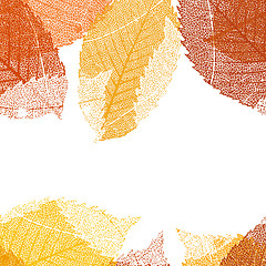 Image showing Dry autumn leaves template. EPS 10