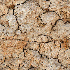 Image showing Seamless natural texture - cracked clay ground