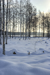 Image showing Winter