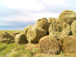 Image showing hay bales