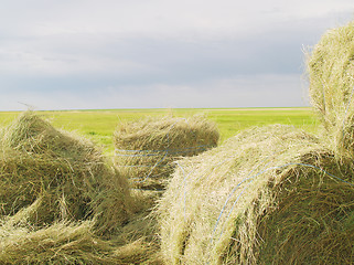Image showing hay bales