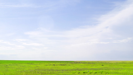 Image showing summer landscape